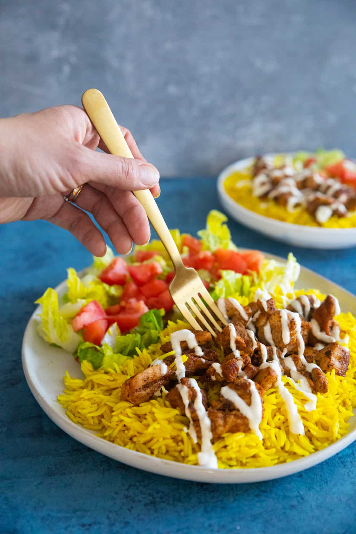 Halal Chicken & Yellow Rice with white sauce